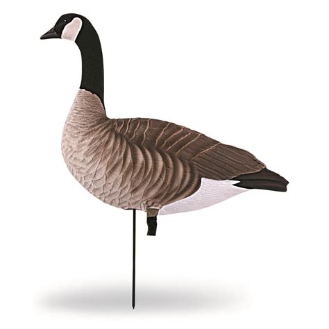 field goose decoys for sale